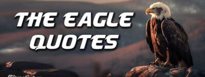 the eagle quotes